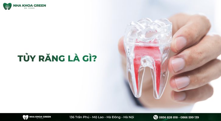 Tủy răng là gì? Vai trò của tủy răng như thế nào?